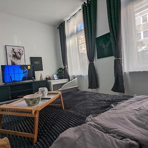 Schoenes Appartment Im Zentrum Von Koblenz II
